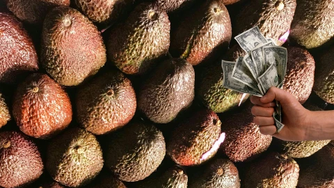 Precio del aguacate en Jalisco hoy 26 de septiembre 2025.jpg
