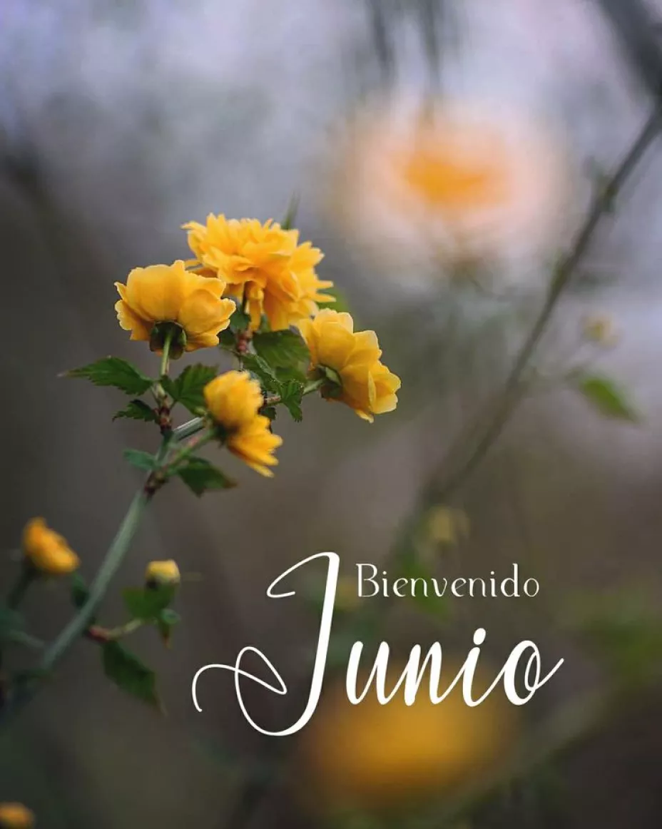 Bienvenido Junio (8).jpg