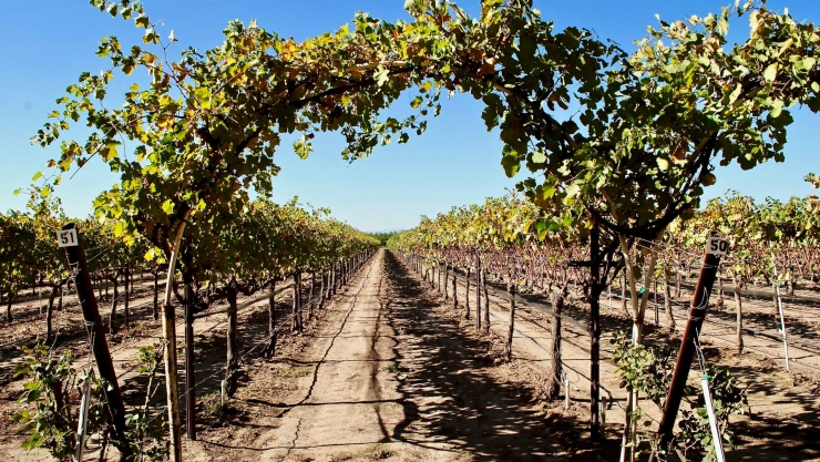 Entrada a la Abadía de New Clairvaux en California