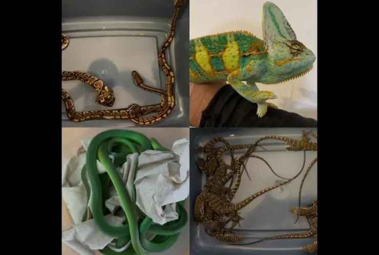 WhatsApp Image 2020-06-24 at 15.40.33.jpeg