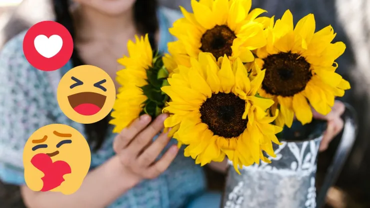 VIRAL: ¿Por qué se regalan flores amarillas el 21 de septiembre.