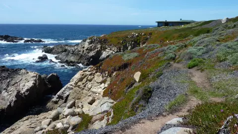 La costa californiana en Carmel Meadows