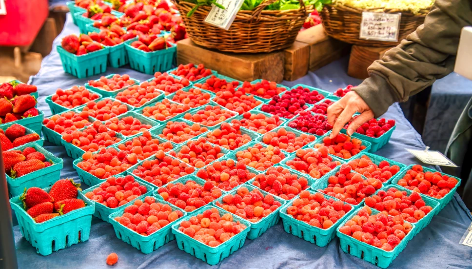 Feria de las Fresas 2025