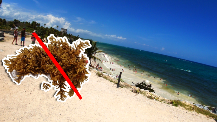 Estas son las playas sin sargazo en Quintana Roo HOY 3 de noviembre de 2025_ Cancún, Playa del Carmen, Tulum y más.webp