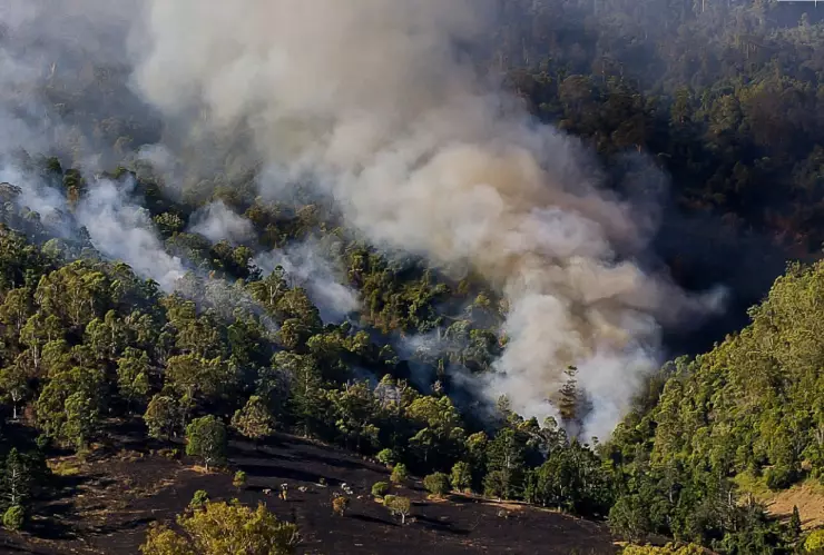 incendios forestales chihuahua.jpg