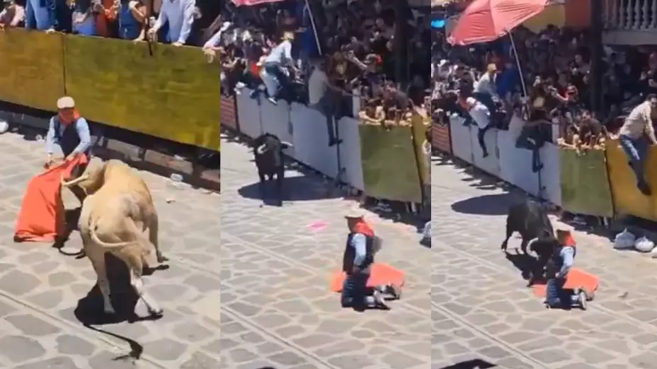 Torero es embestido en Veracruz