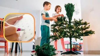/estilo-de/verdadero-significado-de-por-que-se-arma-arbol-de-navidad-cada-8-de-diciembre