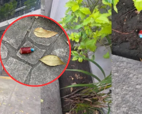 Perros envenenados Condesa