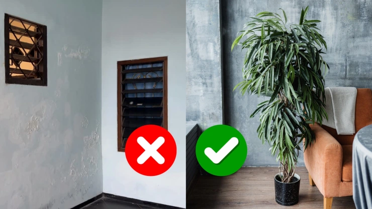 Qué hacer con una esquina vacía de la sala: 5 soluciones para convertirla en un espacio útil