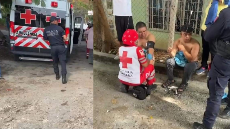 Ataque de abejas en Tuxtla Gutiérrez en la colonia Las Casitas