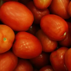 Precio del jitomate y cebolla en México: El costo del kilo y por qué subió en septiembre