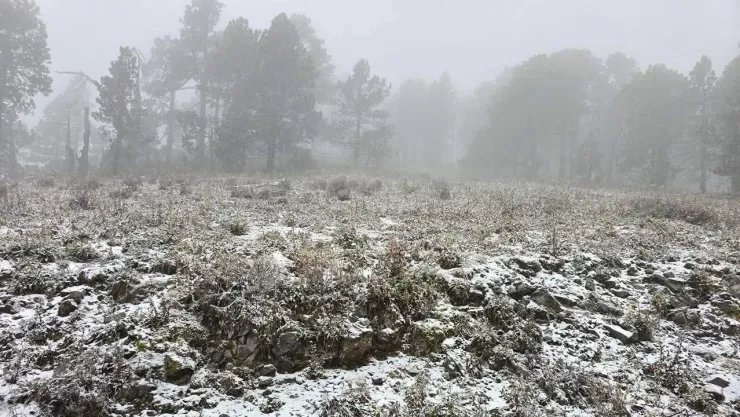 Frente Frío 27 congela al país.