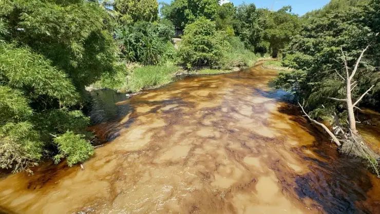 Instalan barreras y cordones tras derrame de hidrocarburo en arroyo de Totolapa