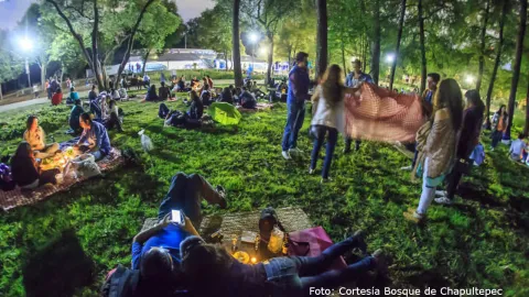 Picnic de noche