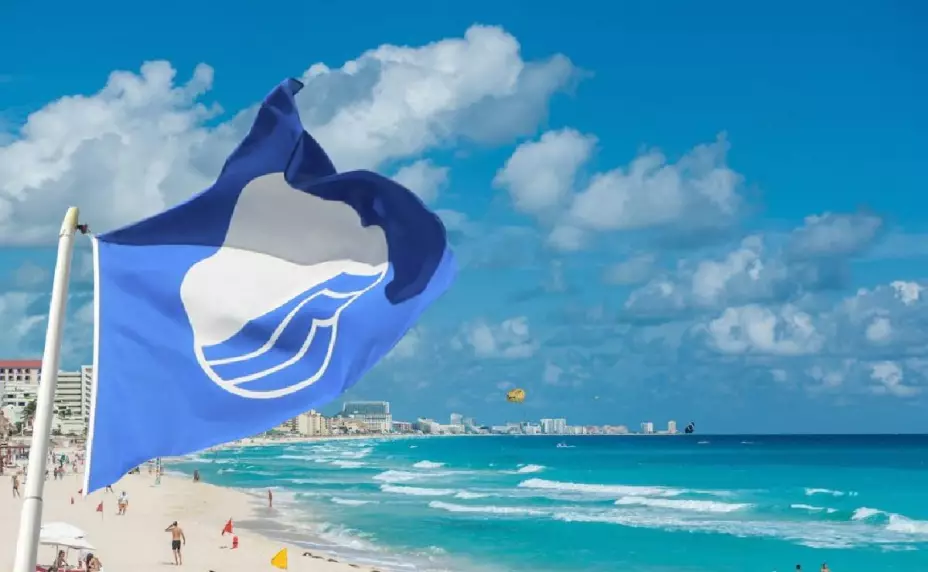 blue flag significado de las banderas en la playA
