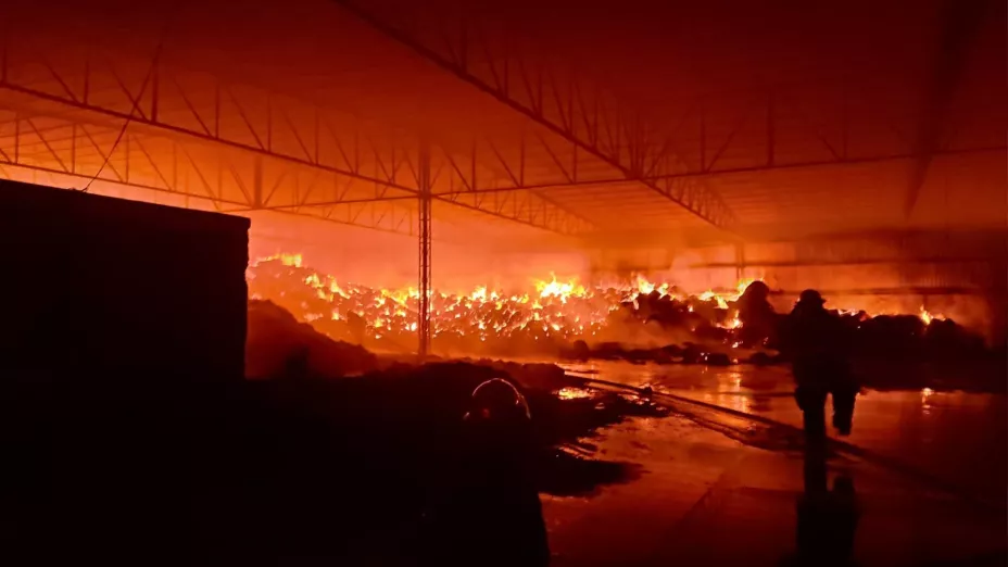 incendio en el marques.jpg