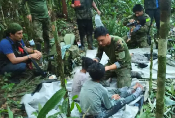 Niños perdidos en la selva de Colombia