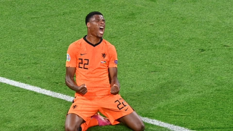 Geroginio Wijnaldum, selección de Holanda