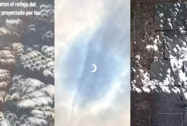 Eclipse solar en las hojas de los árboles