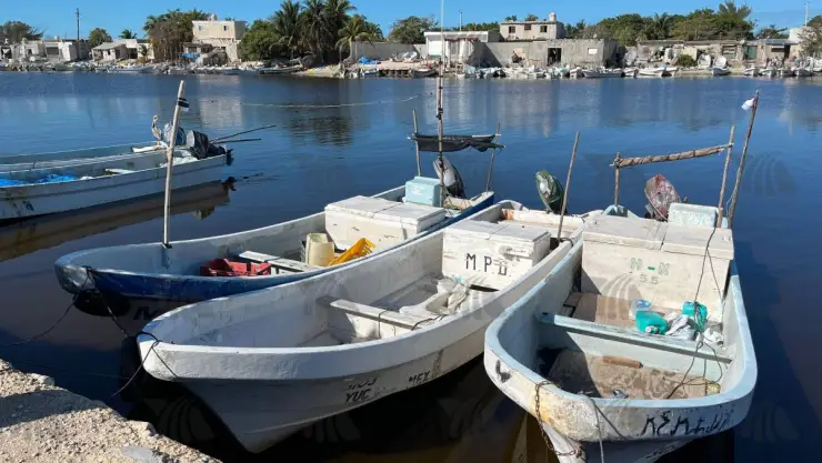 ¿Quiénes son los pescadores desaparecidos en Yucatán_ Esto sabemos ?