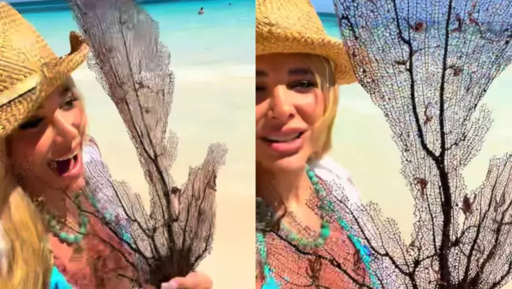 Critican a cantante argentina por querer llevarse un coral como “recuerdo” de Tulum; VIDEO.jpg