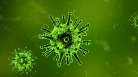 Virus |Imagen Ilustrativa