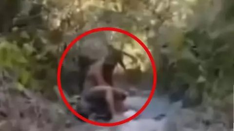 El estadounidense que pensó por AÑOS que estaba perdido en una selva, pero realmente era Puerto Vallarta