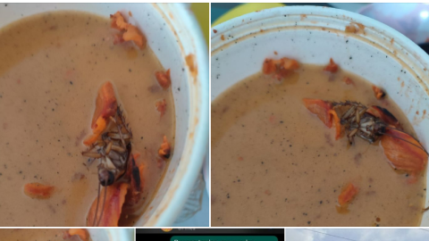 Exhiben a taquería de Mérida por vender frijoles charros con todo y cucaracha