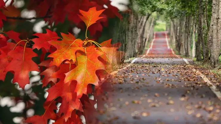 ¿Cuándo empieza el otoño y deja de hacer calor?