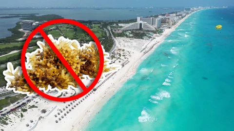 Estas son las playas sin sargazo en Quintana Roo HOY 5 de octubre de 2025_ De Holbox, Cancún, Tulum a Xcalak(1).jpg