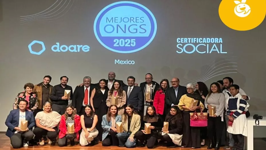 Mejores ONGS Bamx.jpg