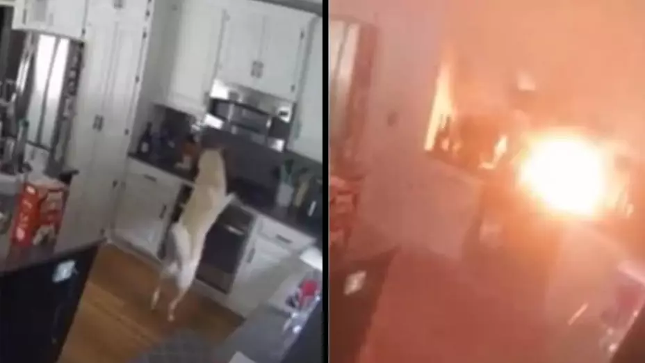 Video Perrito incendia su casa por olfatear la estufa