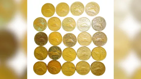 pagan-8-000-000-por-moneda-conmemorativa-caracteristicas-pbg-notas-mt