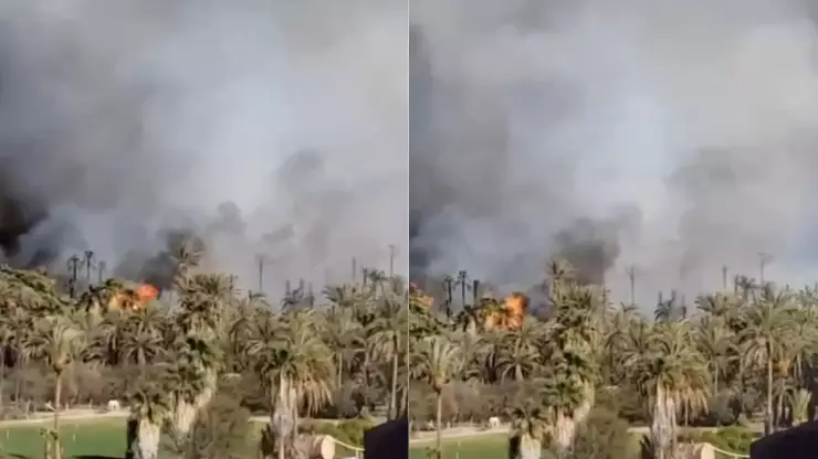 ¿Qué provocó el incendio de palmares en San Ignacio, Mulegé en Baja California Sur hoy lunes 31 de marzo de 2025?