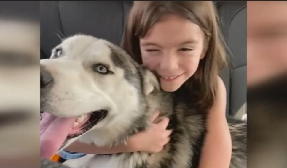 perrito abandonado nanook familia.jpg