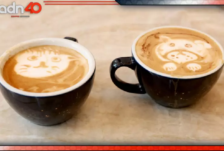 Profeco: Estas son las 5 marcas de café que más te hacen daño