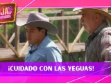 ¿Cómo saber si una yegua está molesta? Especialista advierte a los Granjeros sobre sus reacciones