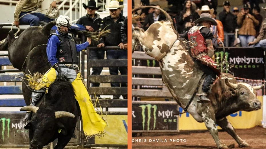 Festival El Caballo y su Mundo