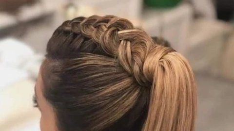 TRENZA COLETA ALTA.jpg