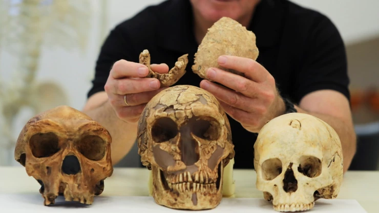 hominido_israel_evolucion_humana