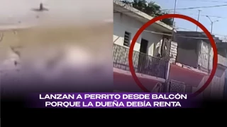 Lanza a perro de azotea.jpeg