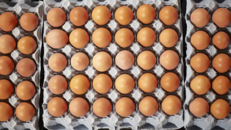 Este será el precio del huevo en México durante la segunda semana de septiembre de 2023.