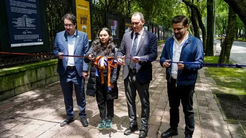 galeria fotografica bosque de chapultepec