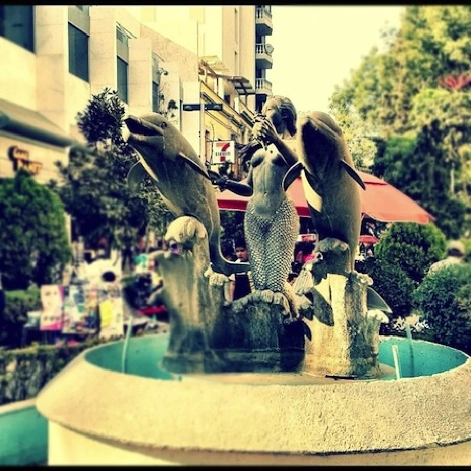 “Demasiado tímida para ser roja”.