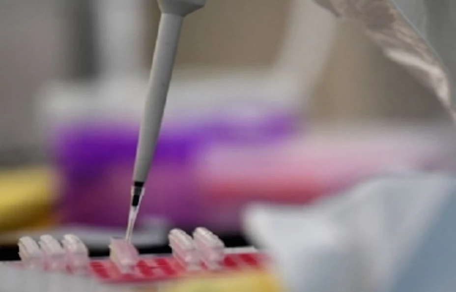 Investigación Covid NTX.jpg