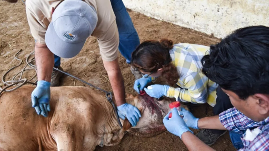 WhatsApp Image 2026-02-19 at 4.5.jpg