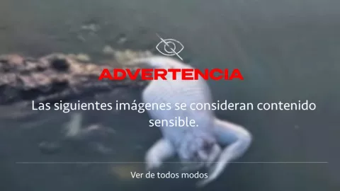 Captan caso de canibalismo entre cocodrilos en Villahermosa, Tabasco