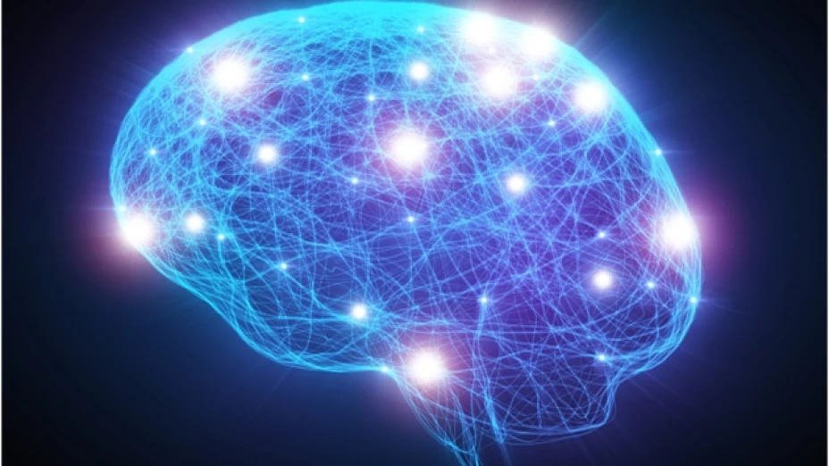 cerebro