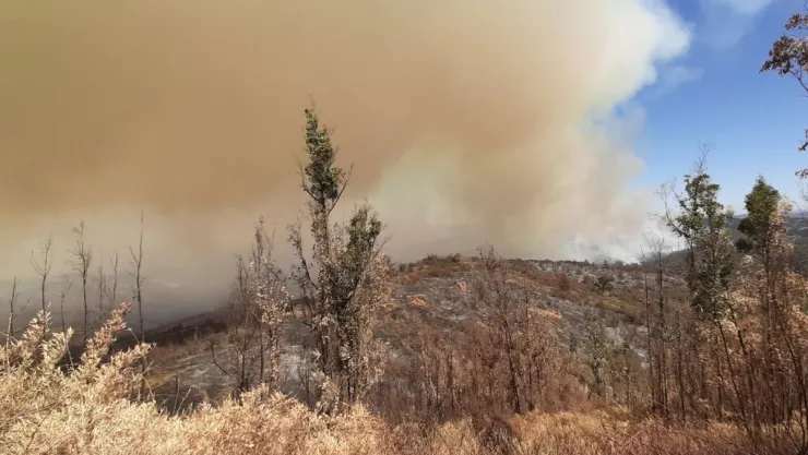 incendio-chile.jpg