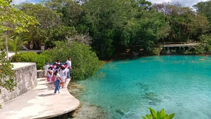 Alumnos de primaria de Cozumel exploran la Laguna de Chankanaab.jpg
